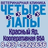 Ветеринарная клиника Четыре лапы  на проекте VetSpravka.ru