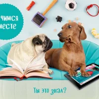 Зоомагазин Бетховен Фото 2 на проекте Samara.vetspravka.ru Зоомагазин Бетховен Фото 2 на проекте Samara.vetspravka.ru