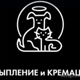 Ритуальное агентство для домашних животных Память Фото 2 на проекте VetSpravka.ru